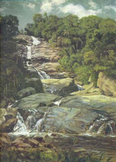 Nicolas-Antoine Taunay Small Cascade in Tijuca oil painting image